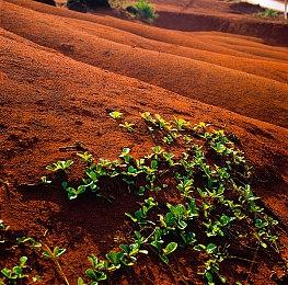 NS《泡泡糖忍战》联动《鬼灭之刃》开启 新奖励多多