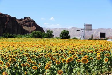 《合金装备Δ 食蛇者》Steam页面现已上线 支持简中